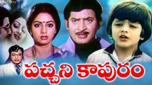 Telugu Movie | Pachani Kapuram | Krishna Ghattimaneni, Sridevi