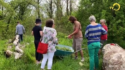 Sans commentaire: fabrication de purin d'orties