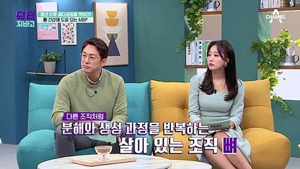 뼈의 형성을 도와 골다공증 예방에 도움을 주는 MBP