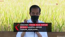 Jokowi Berjanji Indonesia Tidak Impor Beras, Ini Syaratnya