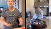 An Egg-Cellent Prank & If Mom Just Cleaned, Stay Out Of The Kitchen!