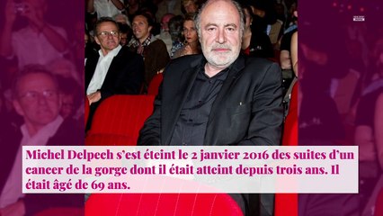 Michel Delpech : Michel Drucker dévoile sa dernière conversation avec le chanteur