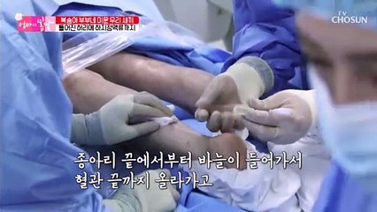 복숭아 부부 엄마에게 찾아온 봄날의 꽃길✿ TV CHOSUN 20210501 방송