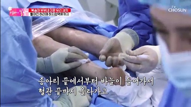 복숭아 부부 엄마에게 찾아온 봄날의 꽃길✿ TV CHOSUN 20210501 방송