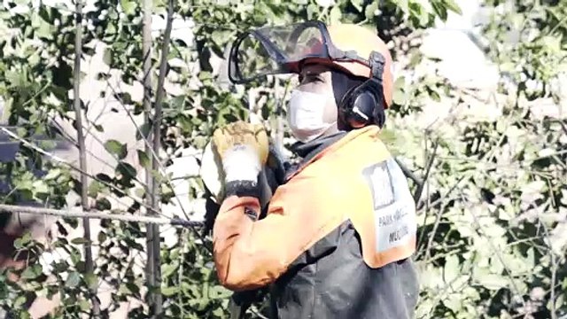 Beşiktaş Belediye Başkanı Rıza Akpolat’tan 1 Mayıs mesajı