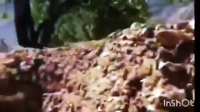 Tacikistan kırgızistan çatışması