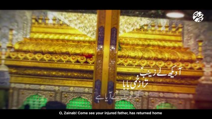 Zainab Tera Zakhmi Baba - Mir Hasan Mir - Nohay 2021 - 21 Ramzan Noha 2021 - Moula Ali Noha 2021