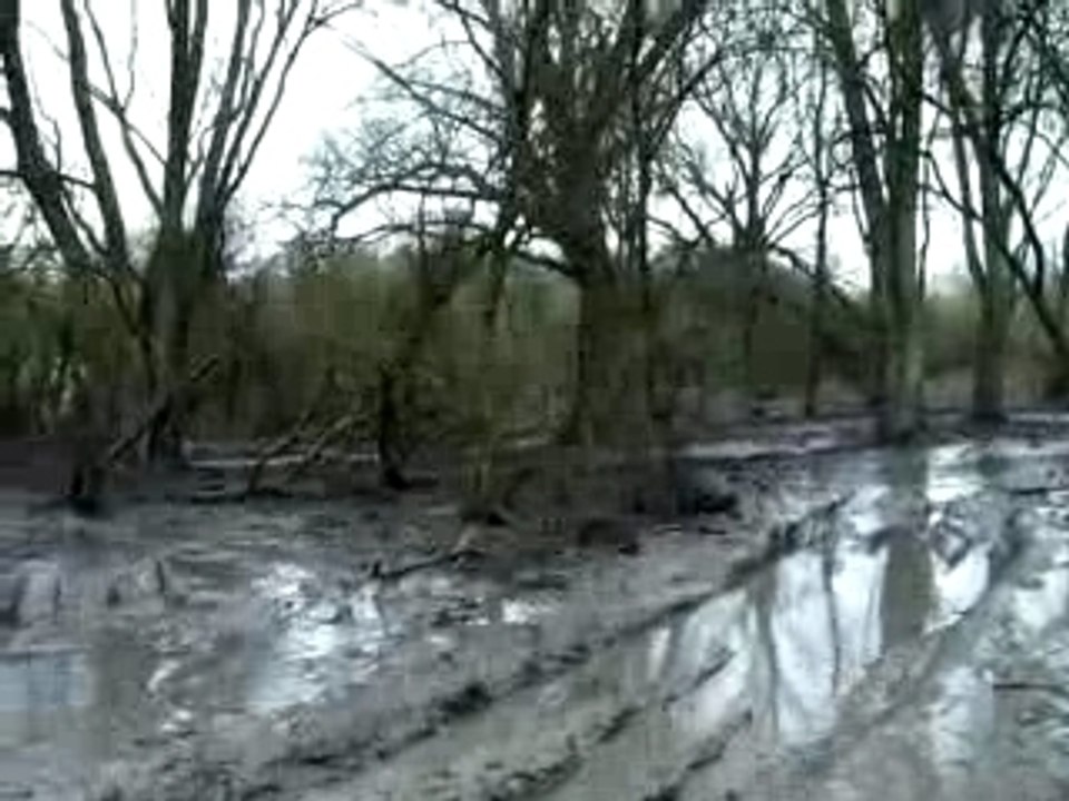 un dimanche au ptit bois