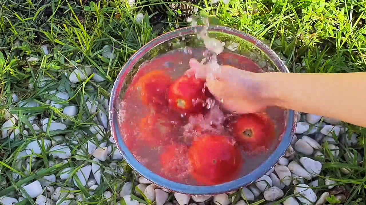 How To Make Cabbage Rolls  | Cabbage Rolls Recipe  | Cabbage Recipes | Asmr Food