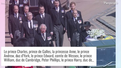 Le prince Harry glacial avec son père Charles ? Il ne lui aurait pas adressé un mot