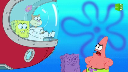 كرة الوحل الطائرة