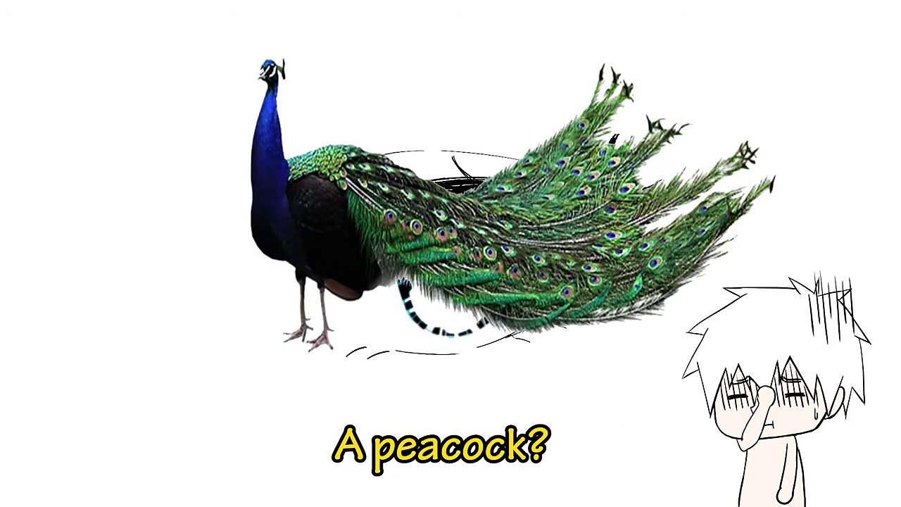 Chicken Run (2000) - The (Not So) Great Escape Scene (1/10) | Movieclips