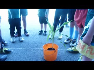 Ti piace la polenta ?