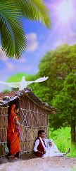 Indian Village Life & Environment With People And Music
