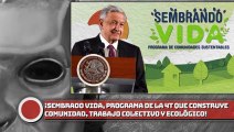 Sembrado Vida, el programa de la 4T que construye comunidad, fomenta el trabajo colectivo y ecológico!