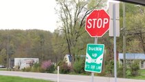 High winds versus stop sign