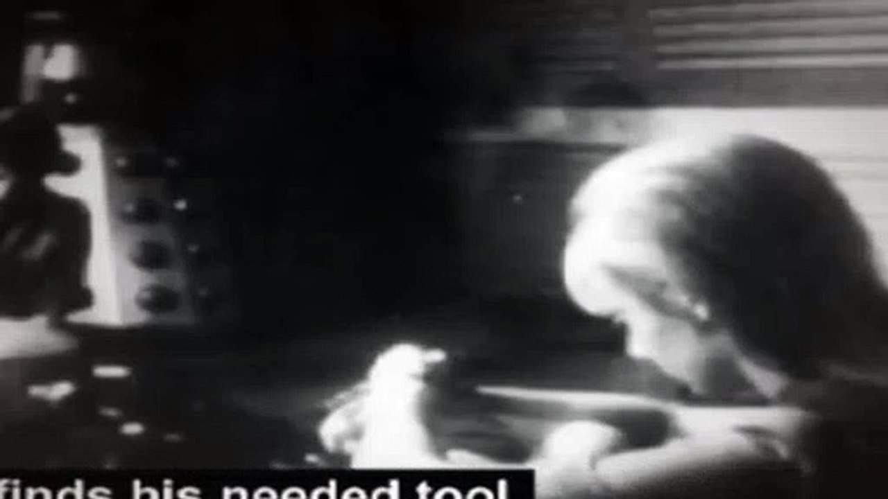 Doctor Who Season 4 Episode 13 The Power of the Daleks Pt 5