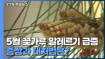 5월 꽃가루 알레르기 급증...증상과 대처법은? / YTN