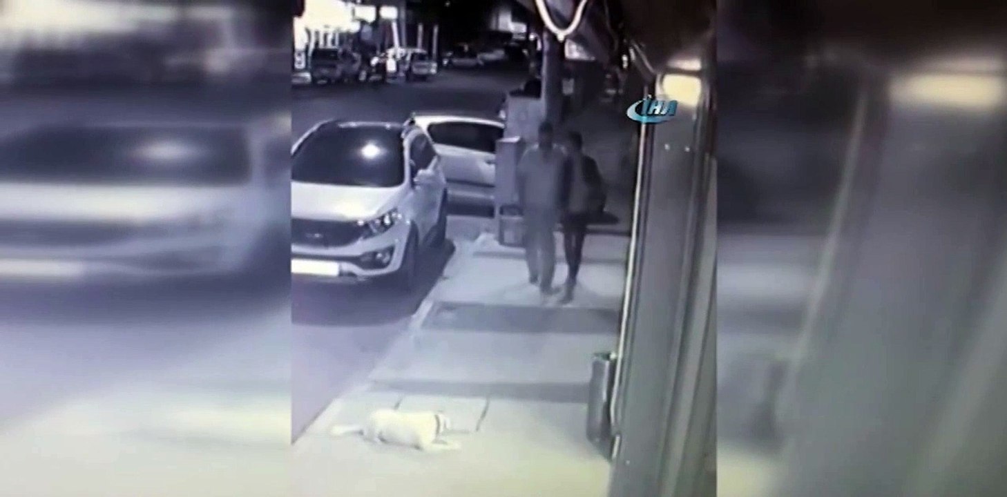 İzmir'de iğrenç görüntü! Bunu yapan insan olamaz!