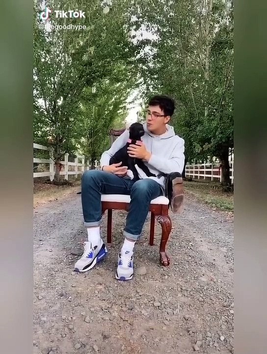 TikTok - Series những người bạn nhiều lông