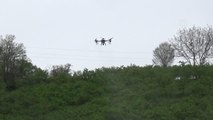 Fındık bahçeleri zirai insansız hava aracı ile ilaçlanmaya başlandı