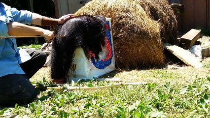 Simple 1.15.2 Automatic Xp Farm/Bank (Unlimited Xp!)