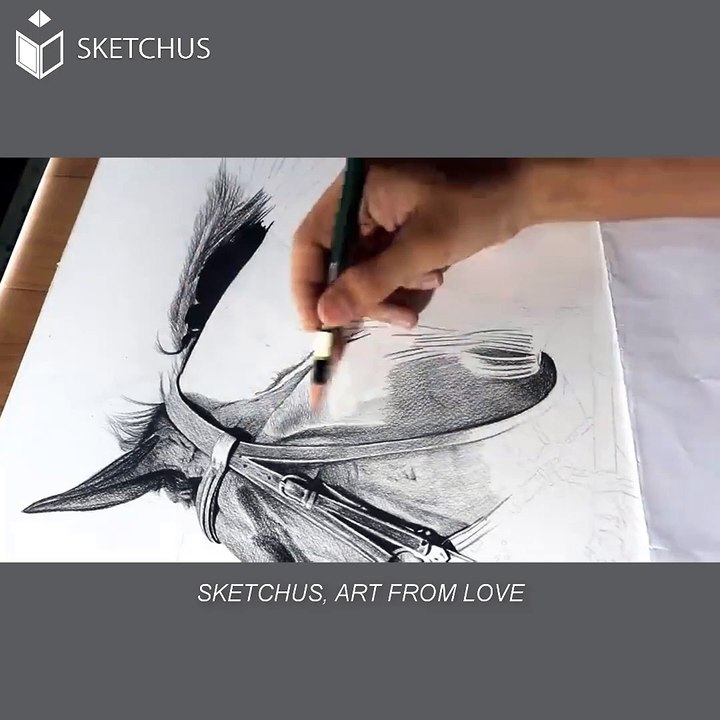 pferdezeichnung-Bleistift