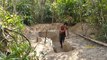 Building The Most Beautiful Secret Underground Bamboo House By Ancient Skills
