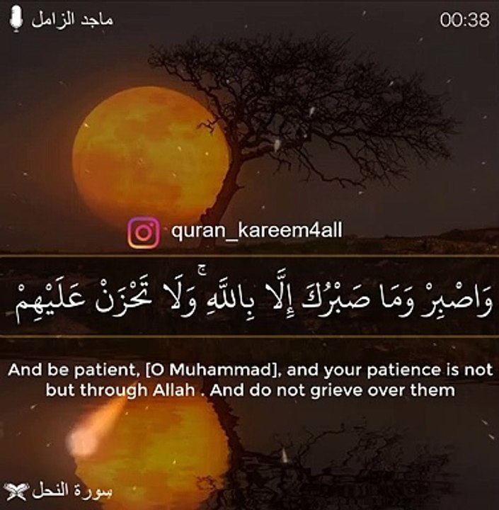وَاصْبِرْ وَمَا صَبْرُكَ إِلَّا بِاللَّهِ ۚ وَلَا تَحْزَنْ عَلَيْهِمْ