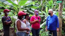 Cultivando Patria 02MAY2021 | Aristóbulo Istúriz pilar en la organización productiva de Curiepe