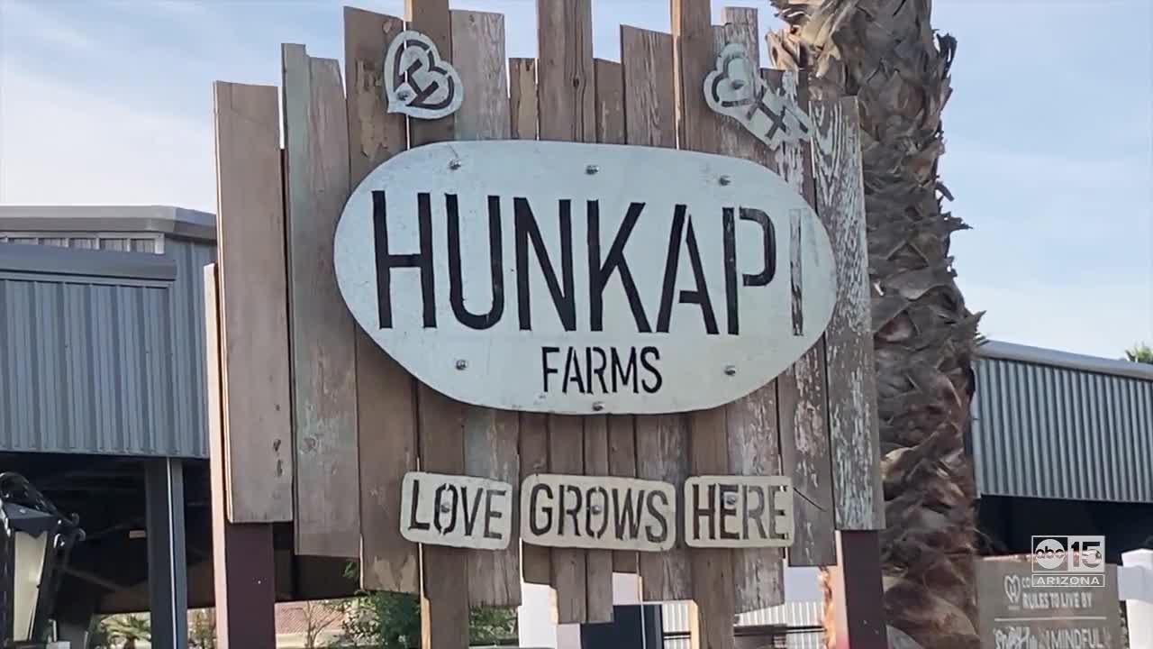 Homeless dog hotel unveiled at Hunkapi Farms, h...