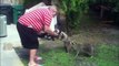 Animals That Will Make You Laugh Extremely Hard - Funny Raccoons Squirrels And Animals Compilation