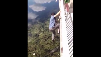 Télécharger la video: Ce dingue saute sur le dos d'un crocodile depuis un pont