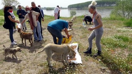 EDİRNE'DE TAM KAPANMADA SOKAK HAYVANLARINI BESLEDİLER