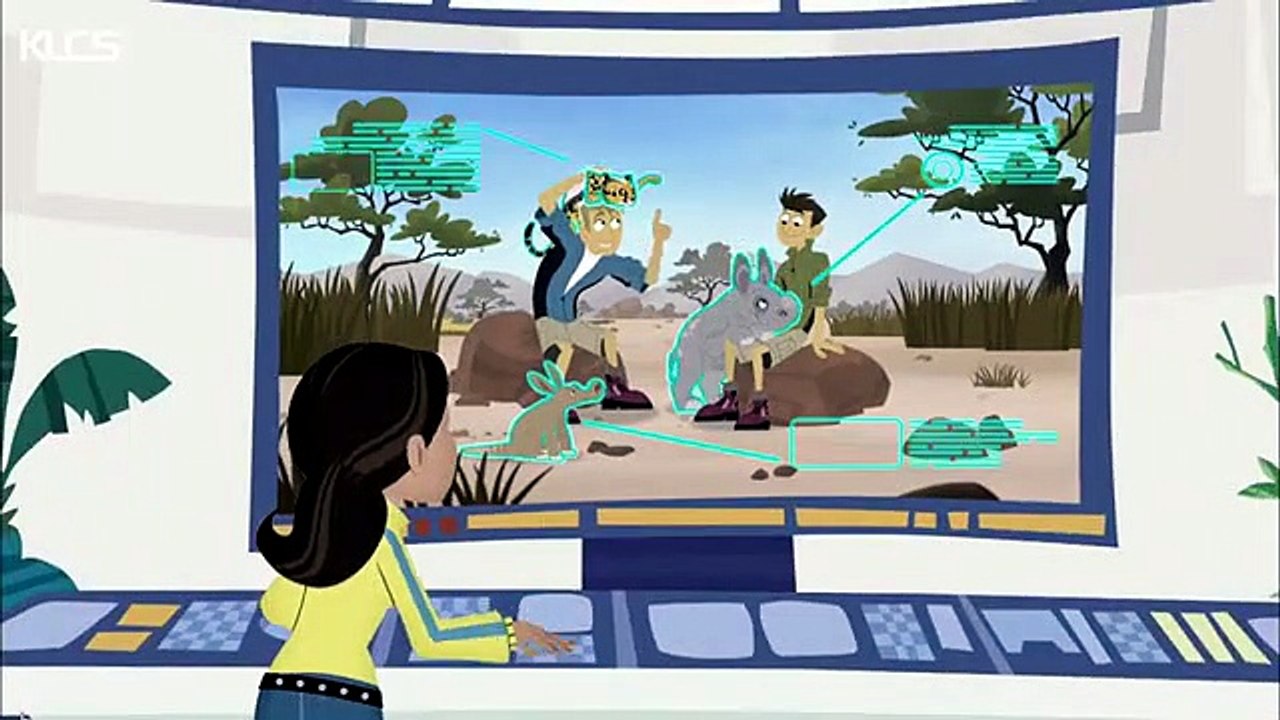 Preying mantis