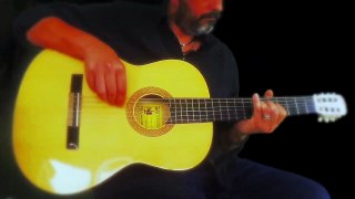 The Loner - Gary Moore - Guitar cover