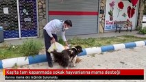 Kaş'ta tam kapanmada sokak hayvanlarına mama desteği
