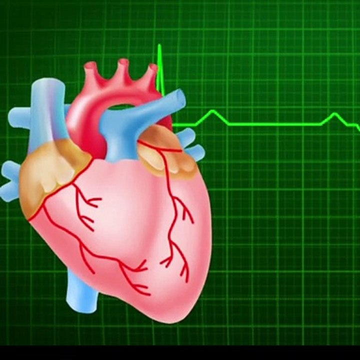 Amazing facts in hindi