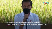 Presiden Jokowi Tinjau Proses Panen Raya di Kabupaten Malang