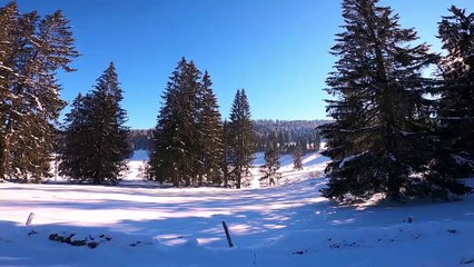 Suisse : l'étang de Gruère (Jura)