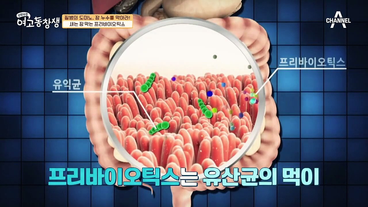 장 내 유익균 한 마리가 2,500억 마리까지 늘어난다? 새는 장 막는 '프리바이오틱스'