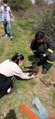 Bolu'da, çalılıkların arasına sıkışan yavru köpeği itfaiye kurtardı