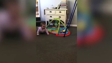 Köpek ağlayan bebeği işte böyle susturdu!