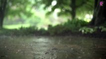 15 Minute Relaxing Rainfall Sounds | Soothing | Peaceful | Beautiful | Slow | Instrumental | Healing | Self-love | Anti-Depression