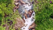 15 Minute Peaceful Music for Relaxation | Calming | Positive Energy | Focus | Concentration | Joyful | Healing | Instrumental | Serene | Nature | Waterfall