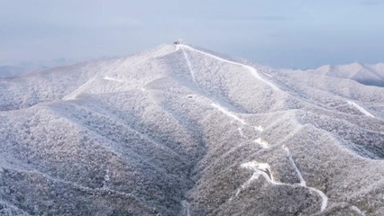 봄꽃 뒤로 내린 폭설...강원 산간 '겨울왕국' / YTN