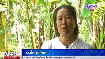 ข่าวค่ำ (ช่วงที่ 2) วันอาทิตย์ที่ 2 พฤษภาคม 2564