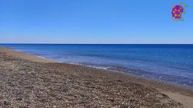 15 Minute Nice Instrumental Music | Healing | Calming | Soothing | Meditation | Mindfulness | Deep Relaxation | Being in Present Moment