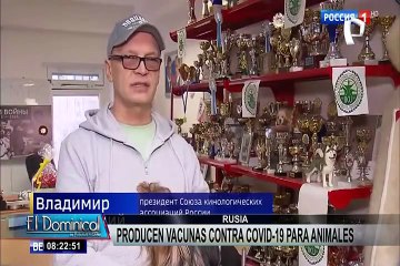 Carnivac-Cov: Rusia produce primer lote de vacunas contra la covid-19 para animales