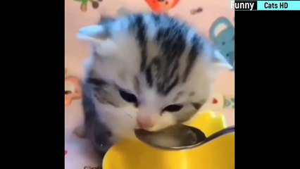 ¡¡God!!  At Last They Kissed  || Funny Anime Moments Of 2020  || 冬の面白いアニメの瞬間